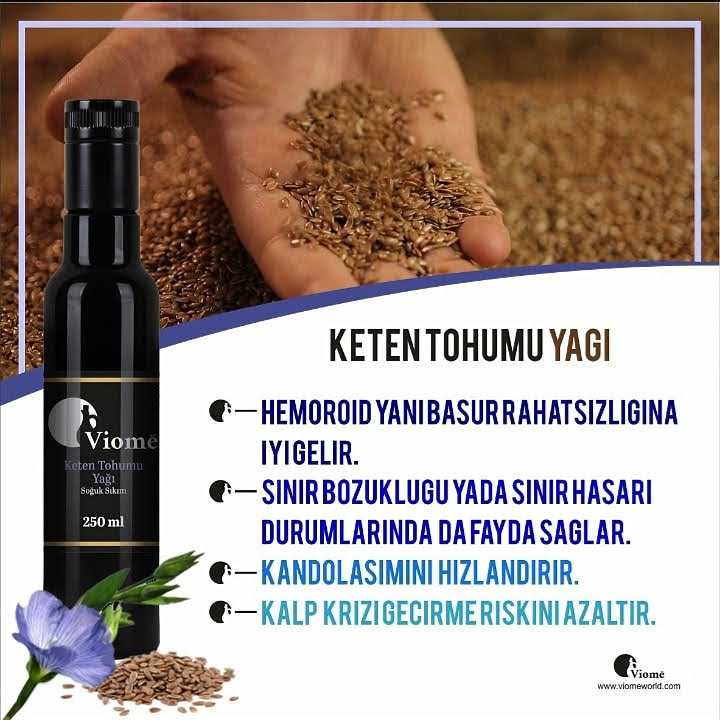 LEVENT İPEK